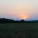 Sunset over Prarie at Prophetstown State Park, Indiana