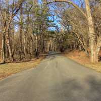 Road into the Park at Backbone State Park, Iowa