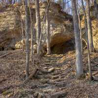 Steps up the Hill at Backbone State Park, Iowa