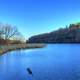 The River Bend at Backbone State Park, Iowa