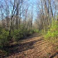 Hiking Trail at Bellevue State Park, Iowa