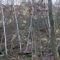 Limestone Quarry at Bellevue State Park, Iowa