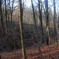 Looking into the valley at Bellevue State Park, Iowa