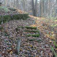 Moss Covered Steps at Bellevue State Park, Iowa