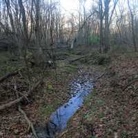 Partially dried stream at Bellevue State Park, Iowa