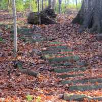 Steps on the Hiking Trail at Bellevue State Park, Iowa