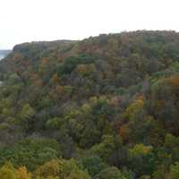Autumn Forest at Effigy Mounds, Iowa