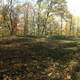 Big Bear Mound at Effigy Mounds, Iowa