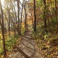 Hiking Trail at Effigy Mounds, Iowa