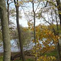 Peering at the Yellow river through trees at Effigy Mounds, Iowa