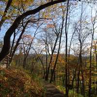 View from Hiking Trail at Effigy Mounds, Iowa