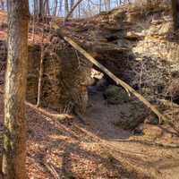 Landscape around the cave at Maquoketa Caves State Park, Iowa