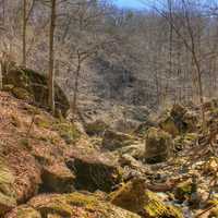 Landscape by the Caves at Maquoketa Caves State Park, Iowa