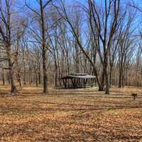 Picnic Area at Maquoketa Caves State Park, Iowa