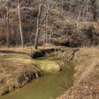 Stream through the grasslands at Maquoketa Caves State Park, Iowa