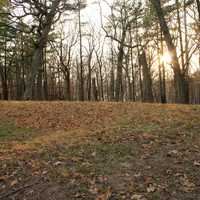 Bear Mound at Pikes Peak State Park, Iowa