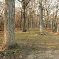 Forest trail at Pikes Peak State Park, Iowa