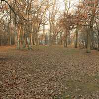 Hickory Ridge at Pikes Peak State Park, Iowa