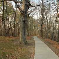 Pathway at Pikes Peak State Park, Iowa