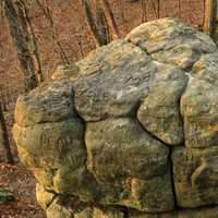 Stone with carvings at Pikes Peak State Park, Iowa