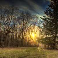 Afternoon Sunset landscape at Yellow River State Forest, Iowa