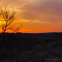 Yellow River State Forest  Photos