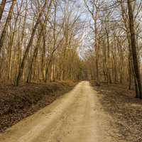 Nature trail at Yellow River State Forest, Iowa