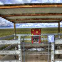 Library at Mount Sunflower, Kansas