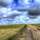 Road to the top at Mount Sunflower, Kansas