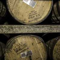 Big Barrels of Buffalo Trace Distillery Whiskey, Kentucky