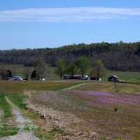 Landscape and fields under the blue sky in Repton, Kentucky