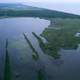 Aerial view of Louisiana wetland habitats