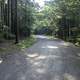 Carriage Road in Acadia National Park, Maine