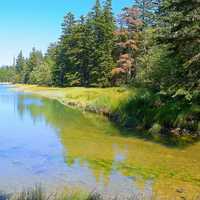 Water and shoreline at Acadia National Park, Maine