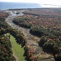 Fall Trees near the ocean landscape in Maine