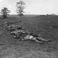 Confederate Dead Gathered for Burial at Antietam Battlefield, Maryland