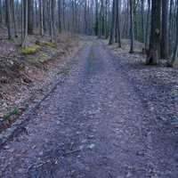 Hiking up Hoye Crest in Maryland