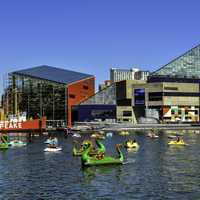 National Aquarium in Baltimore, Maryland