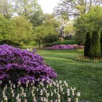 Sherwood Gardens in Baltimore, Maryland