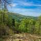 Hills and Forests around Maryland Heights