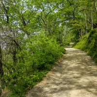 Maryland Heights Wooded hiking path