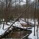 Still Creek in Greenbelt Park in the Winter in Maryland