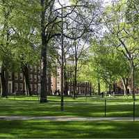 Harvard Yard in Cambridge, Massachusetts