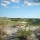 Sand Dunes at Cape Cod, Massachusetts