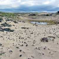 Dunes Landscape at Parker River National Wildlife Refuge