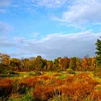 Fall Colors at Silvio O. Conte National Wildlife Refuge