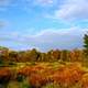 Fall Colors at Silvio O. Conte National Wildlife Refuge