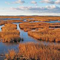 Parker River Marsh landscape