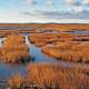 Parker River Marsh landscape