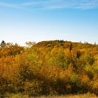 Autumn colors on the hillside at Copper Harbor